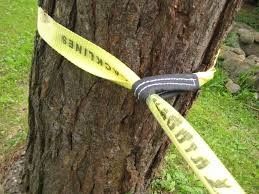 kaufen Maßgeschneiderte Balance Polyester Slackline für Outdoor-Sportarten online manufacture